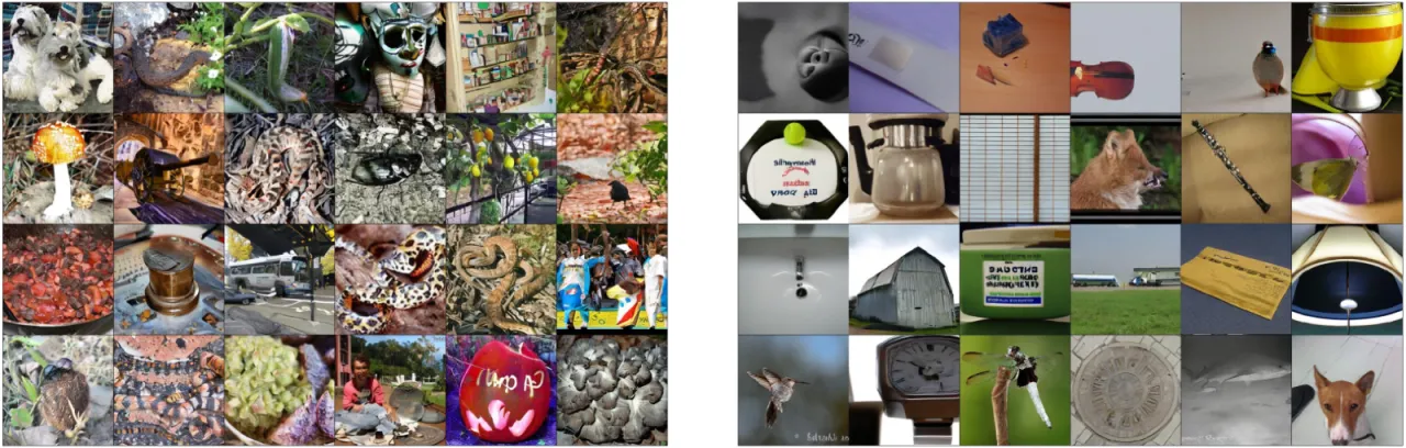 ImageNet high/low uncertainty samples