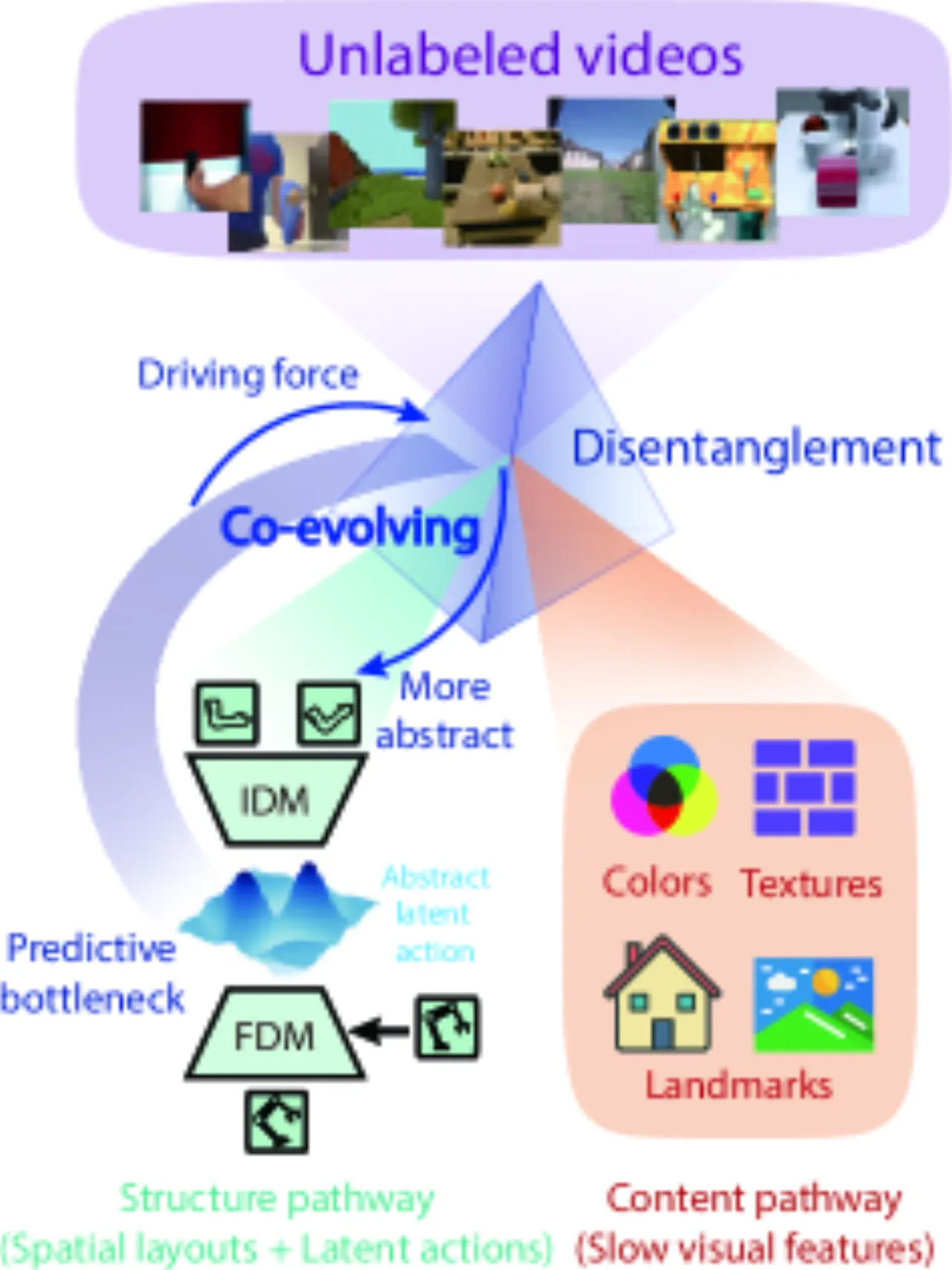 teaser: co-evolution of latent actions and disentanglement