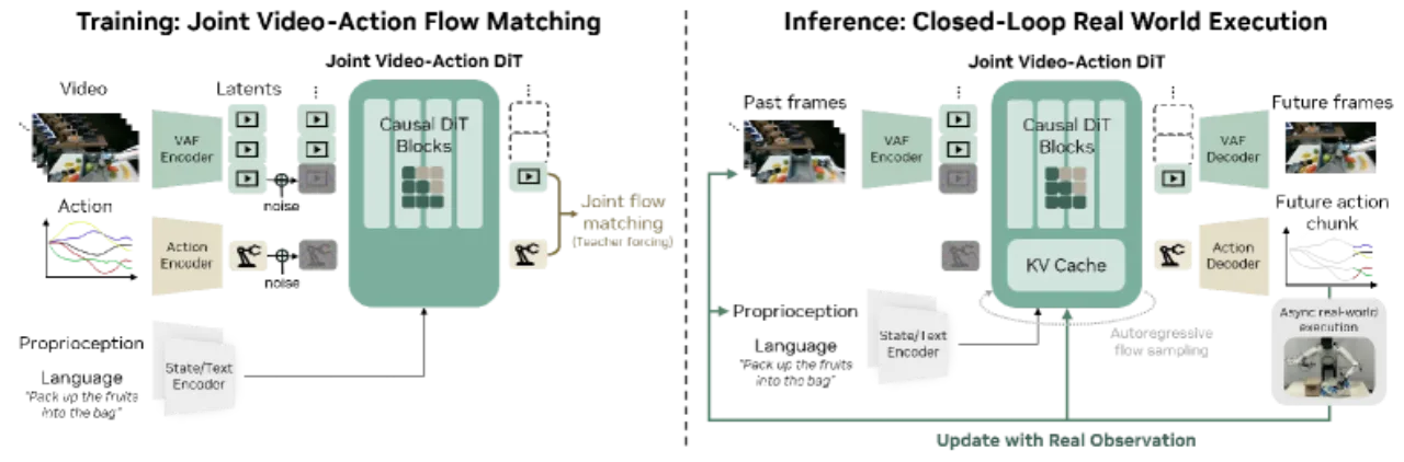 DreamZero Model Architecture