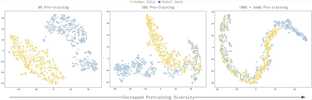 TSNE representation analysis