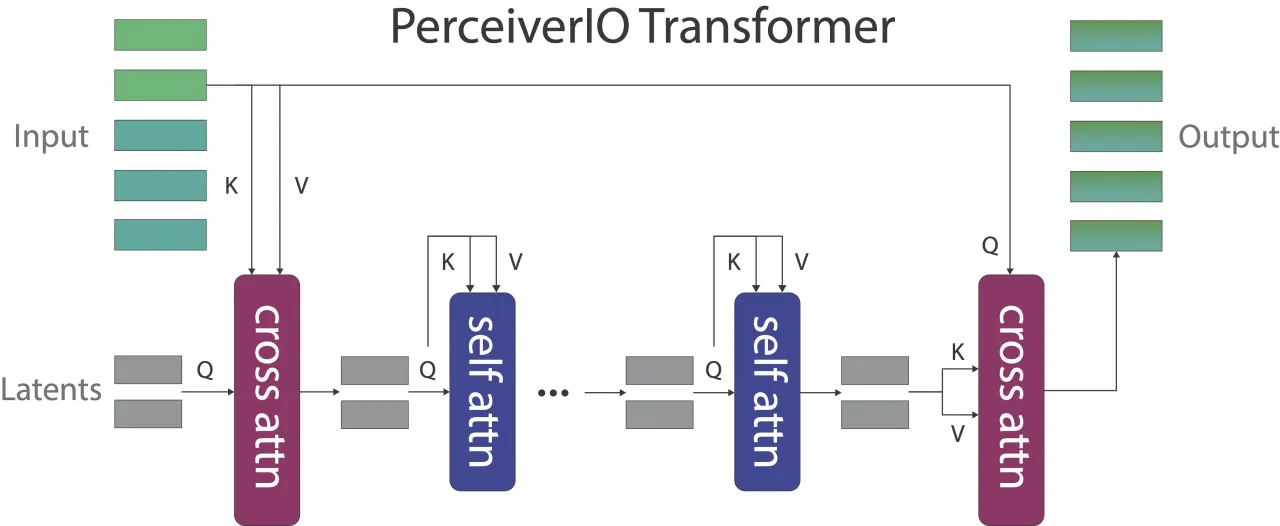 PerceiverIO Transformer 结构