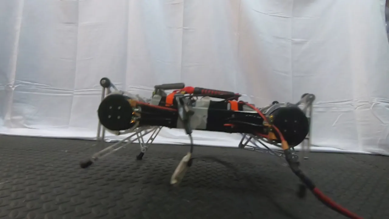 Minitaur quadruped locomotion