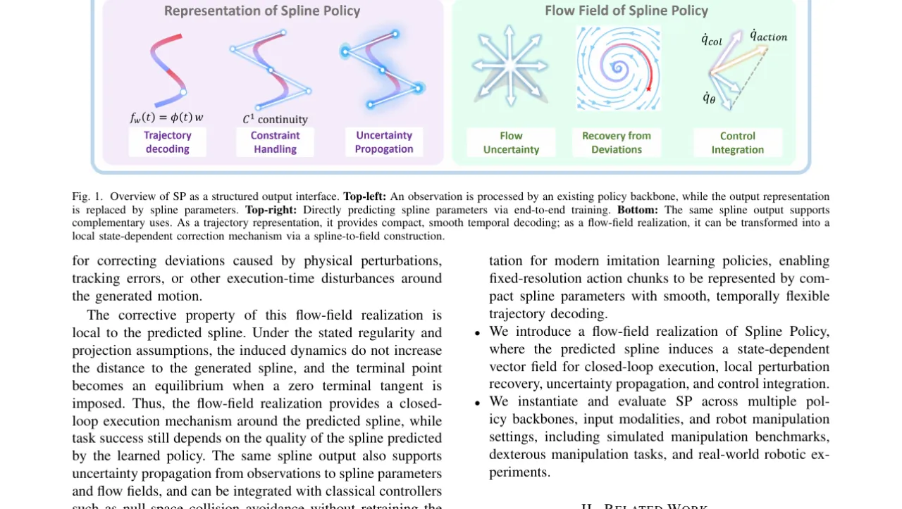 Spline Policy overview