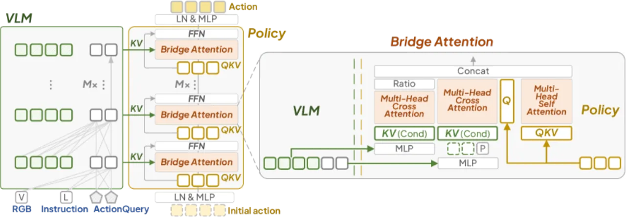 Policy with Bridge Attention 架构