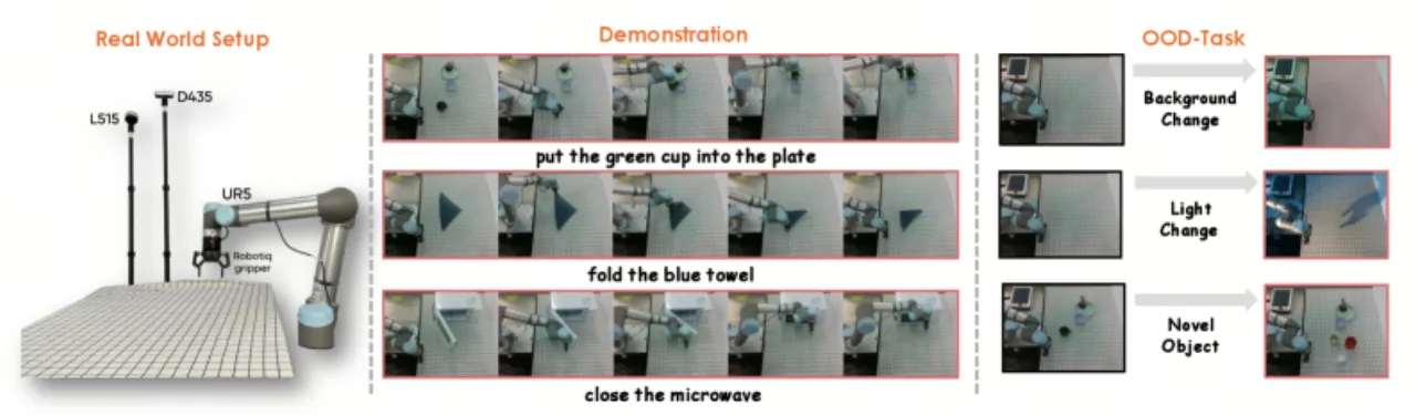 Real-world experiment setup